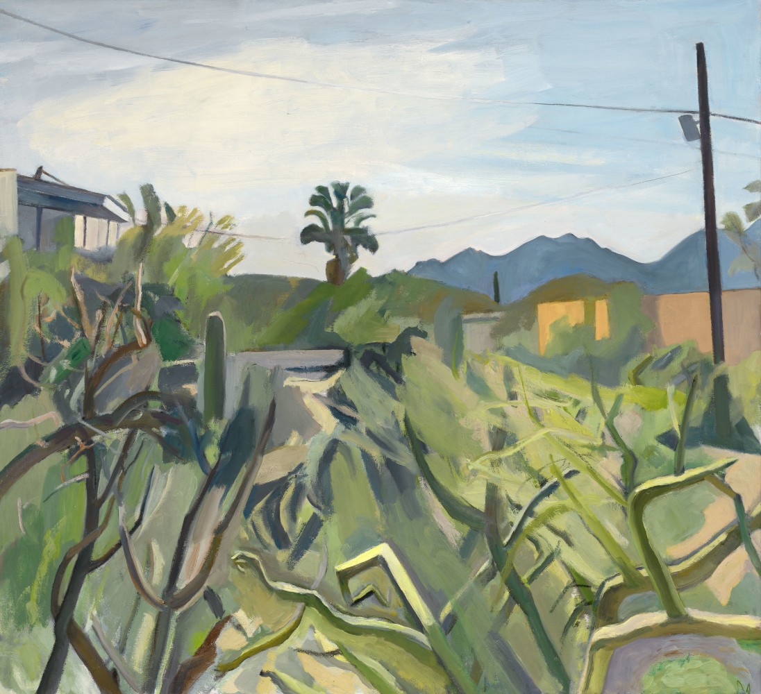 Palo Verde And Mesquite I  40″ x 40″  Oil On Canvas