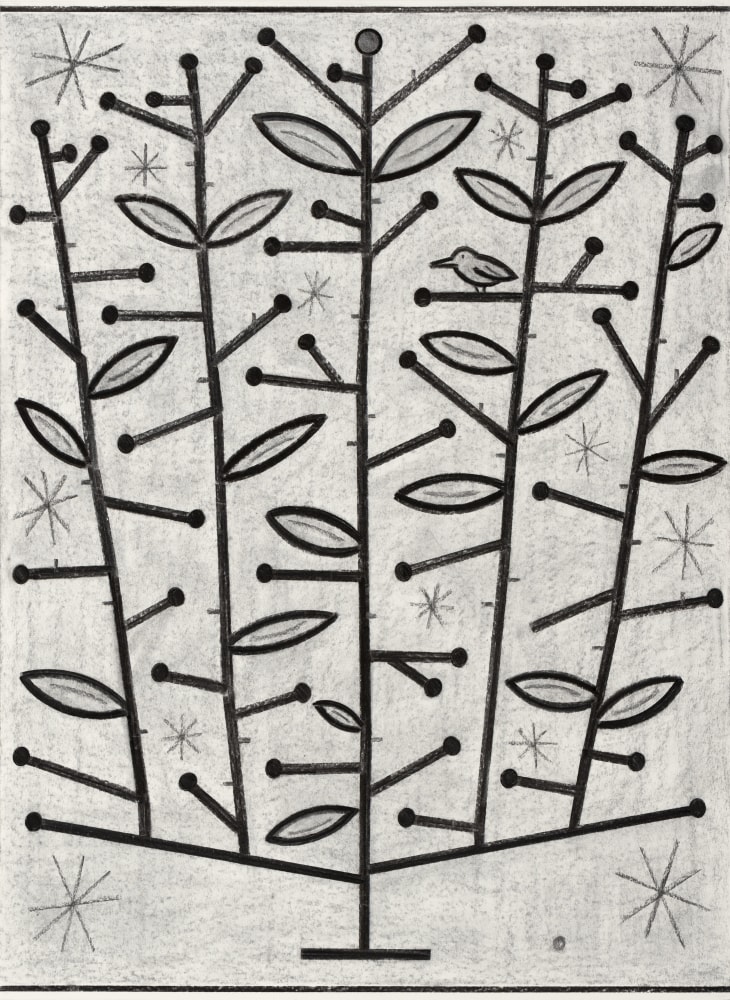 Bird 2 – Centerpiece Series 49” x 36” Vine Charcoal On Paper (Lenox 100)
