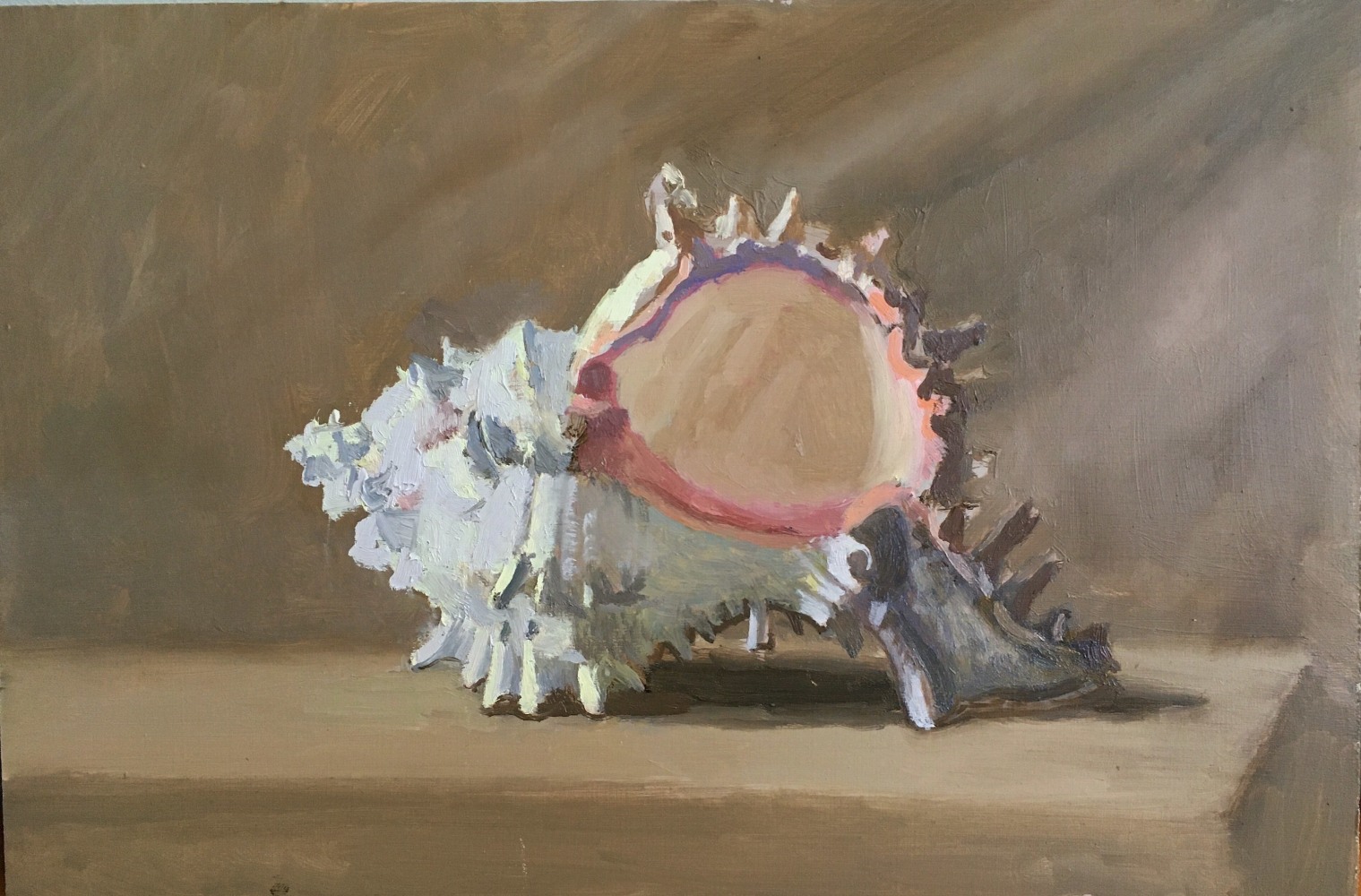 Shell  9&quot; x 13.5&quot;  Oil On Panel