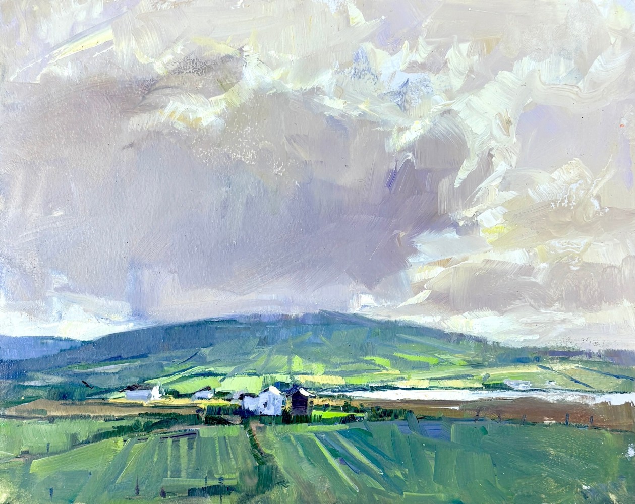 Ballyglass Evening  9&quot; x 11&quot;  Oil On Panel