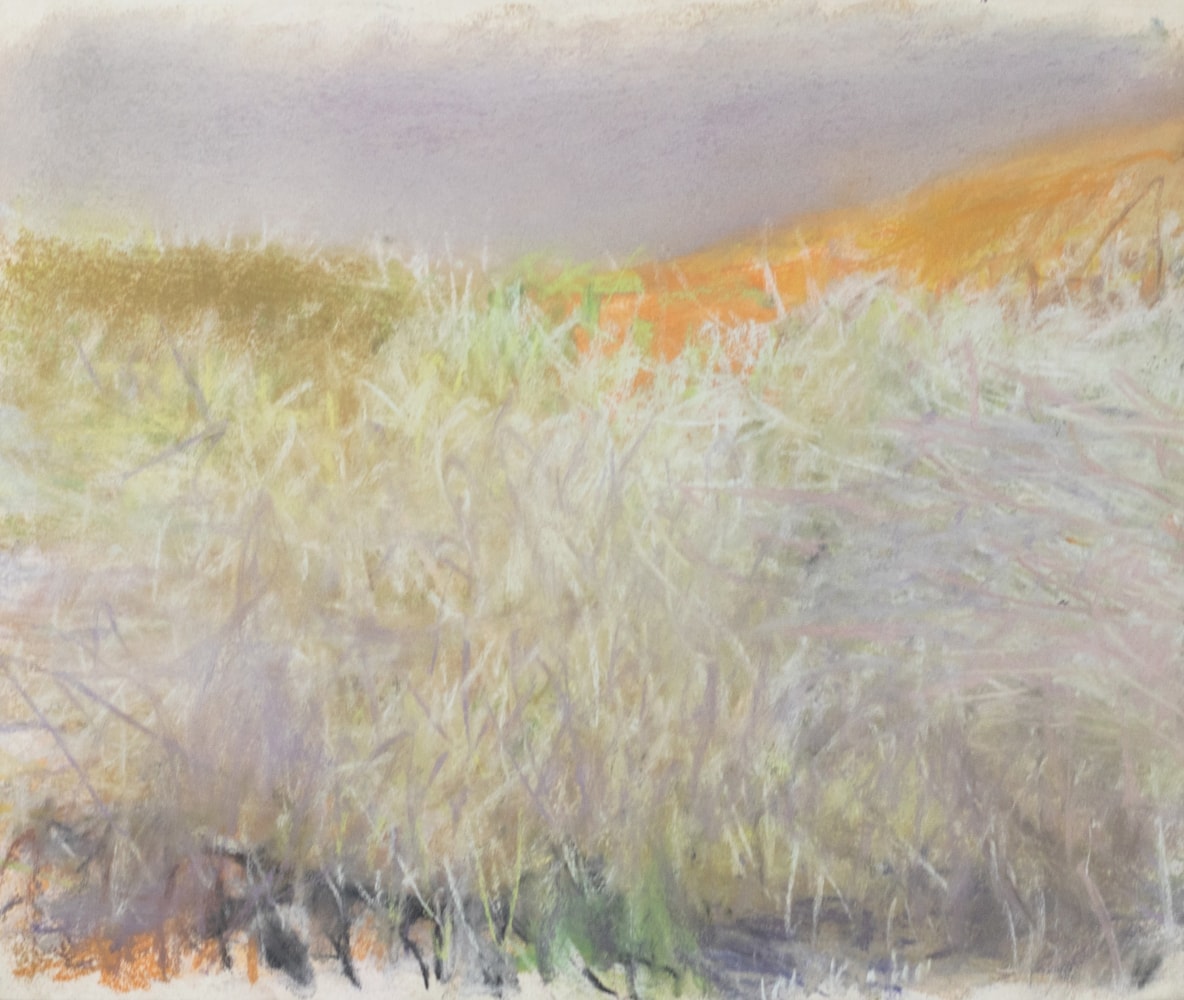 Wolf Kahn, Tangle Before a Yellow Hill, 2006, Pastel, 14x17