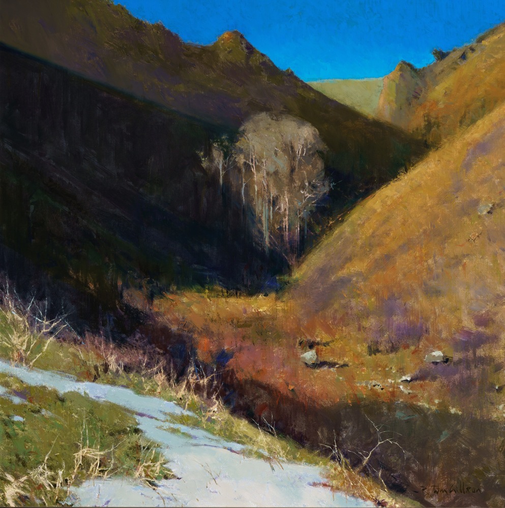 Cottonwood Coulee,&amp;nbsp;2015

Oil on canvas

36 x 36 inches&amp;nbsp;

AVAILABLE