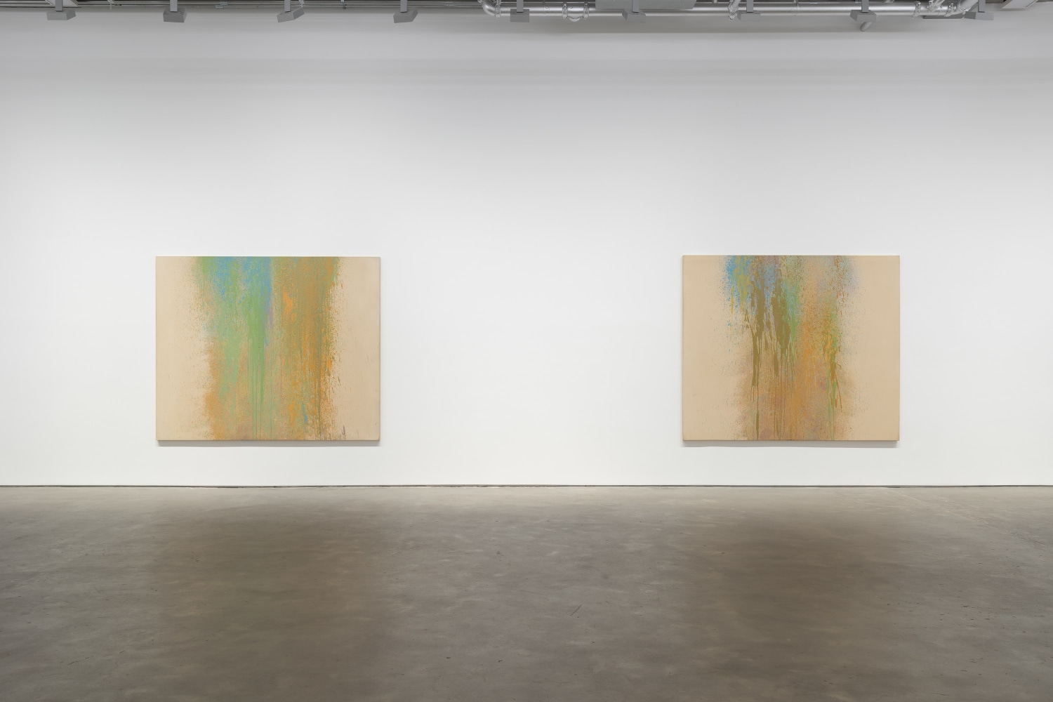 Iria Leino: In Two Parts—The Suomen Suo Series (installation view)