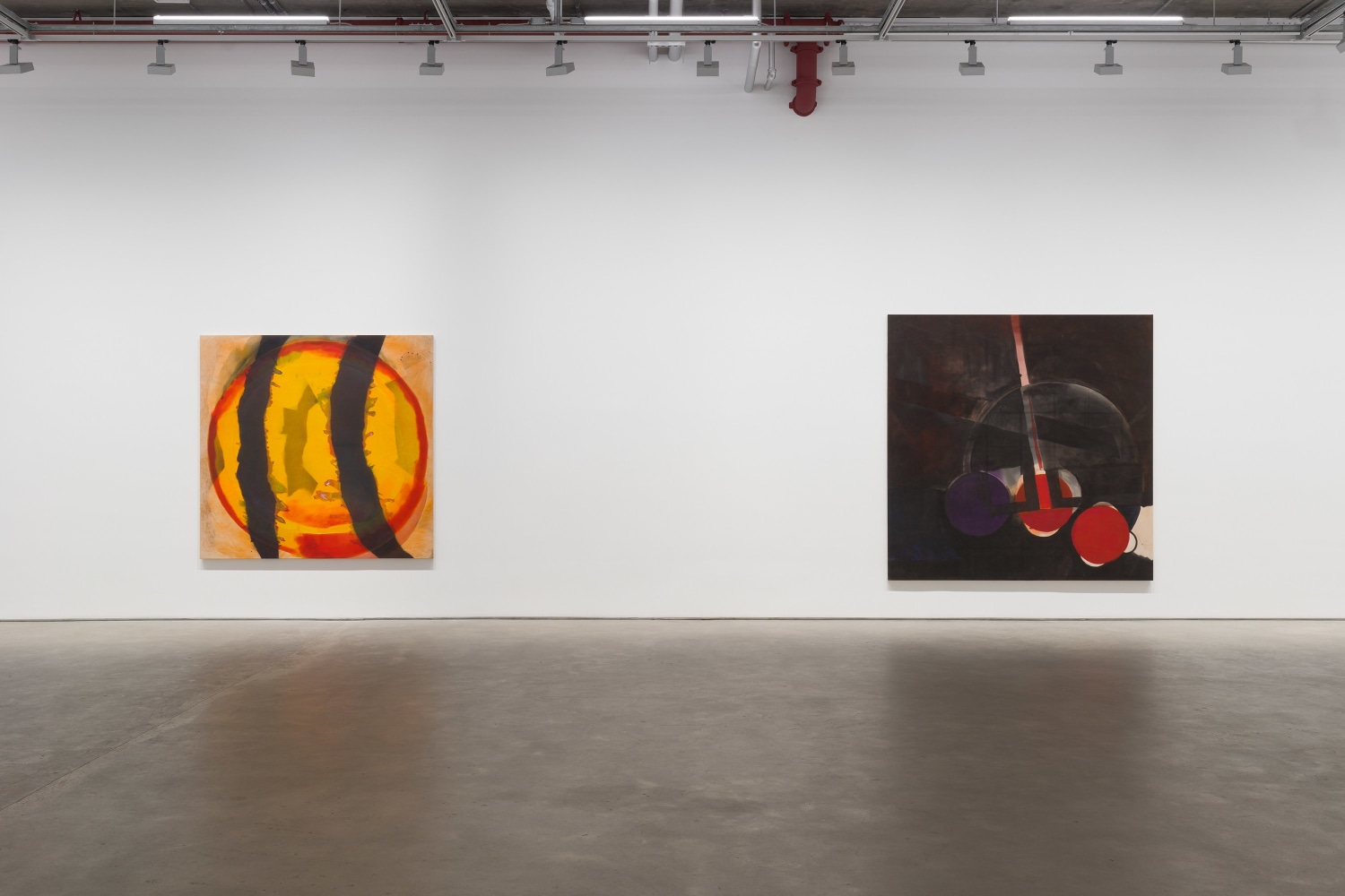 Iria Leino: In Two Parts—The Colorfield Series (installation view)