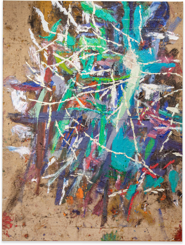 Spencer Lewis
Untitled
2020
Acrylic, oil, enamel, spray paint, and ink on jute
89&amp;nbsp;x 67&amp;nbsp;in