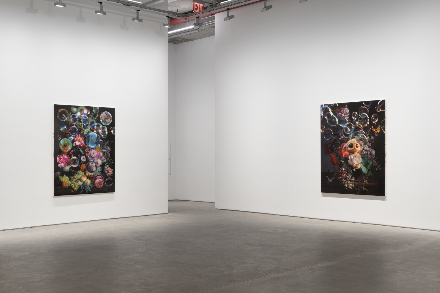 Marc Dennis: I'm Happy You're Here (installation view)