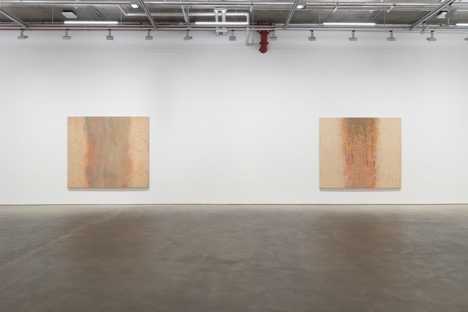 Iria Leino: In Two Parts—The Suomen Suo Series (installation view)