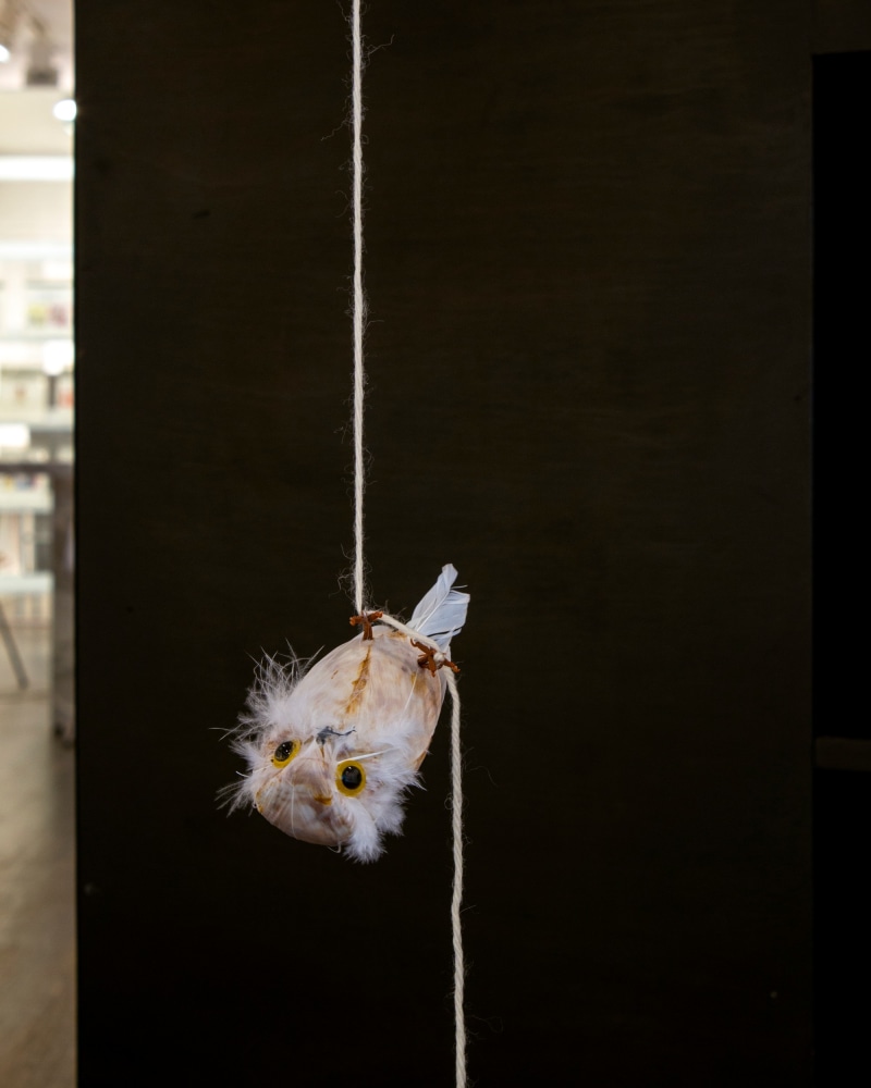 Alix Pearlstein, Hanging Snowy Owl (after Hanging Bird), 2021