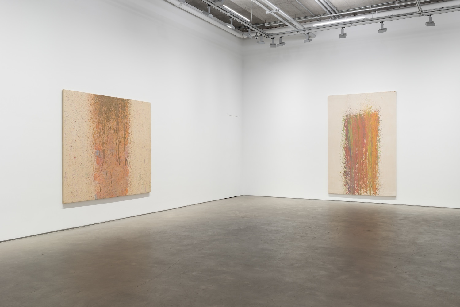 Iria Leino: In Two Parts—The Suomen Suo Series (installation view)