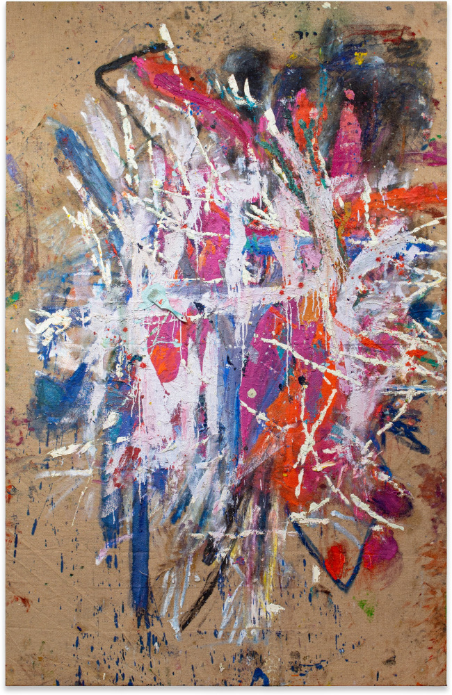 Spencer Lewis
Untitled
2020
Acrylic, oil, enamel, spray paint, and ink on jute
110&amp;nbsp;x 71&amp;nbsp;in