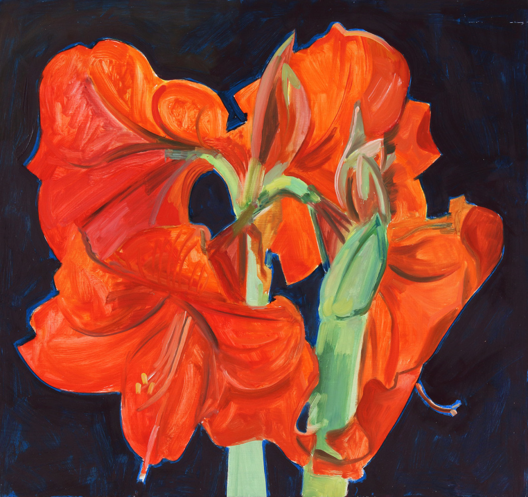 Amaryllis 06, 2006, oil on Masonite, 15 x 16 inches

Sold