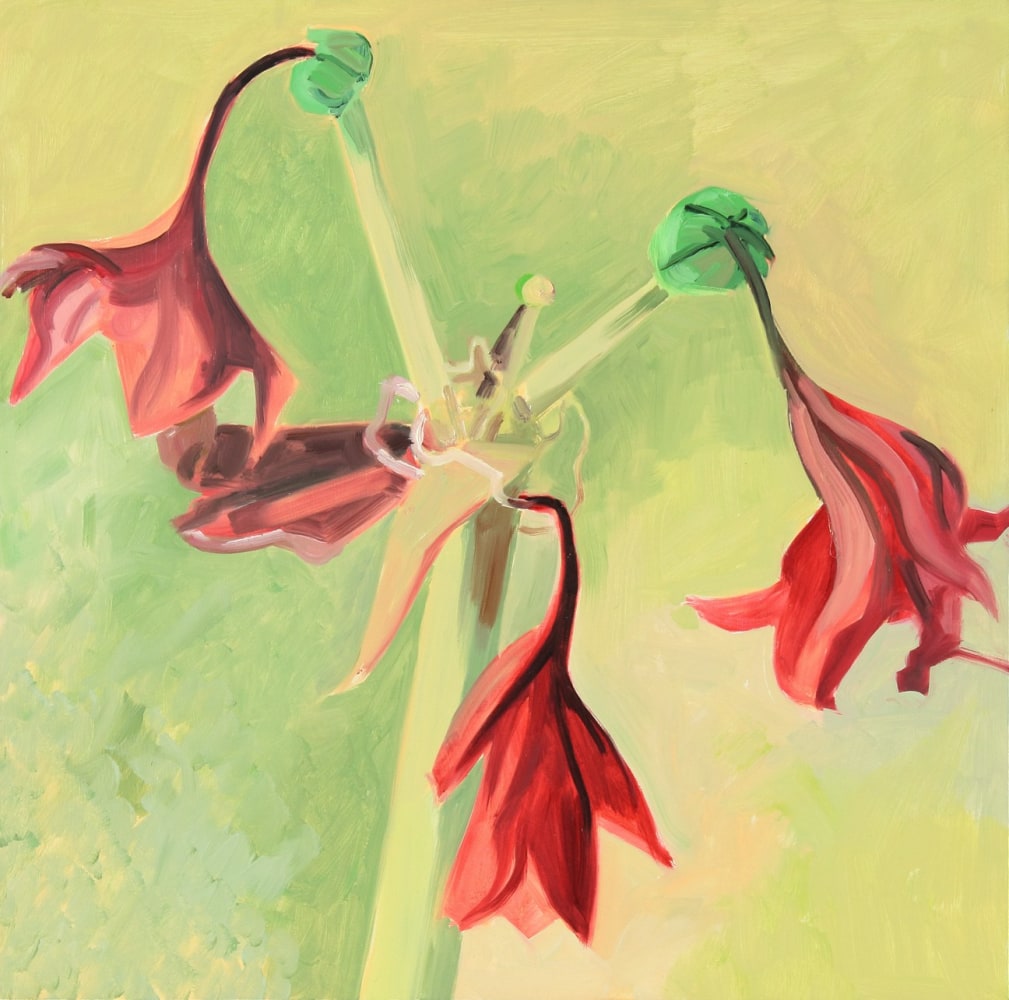 Amaryllis 09, 2006, oil on Masonite, 12 3/4 x 13 inches

Sold