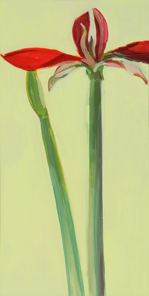 Amaryllis 01, 2006, oil on wood panel,&amp;nbsp;20 x 10 inches

Sold