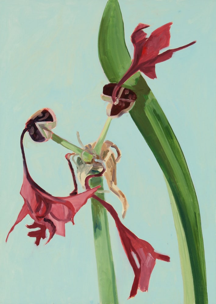 Amaryllis 15, 2006, oil on Masonite, 18 x 12 3/4 inches

Sold
