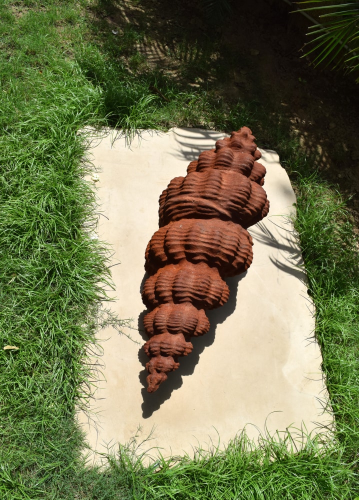 Time twist | 2022
&amp;nbsp;