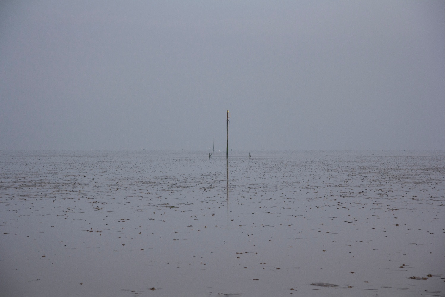 NE51.5400, 2018

Pigment print on Hahnemuhle paper

16 3/4&amp;rdquo; x 23 1/2&amp;rdquo;&amp;nbsp;&amp;nbsp;&amp;nbsp;&amp;nbsp;&amp;nbsp;&amp;nbsp;&amp;nbsp;&amp;nbsp;&amp;nbsp;&amp;nbsp;&amp;nbsp;&amp;nbsp;&amp;nbsp;&amp;nbsp;&amp;nbsp;&amp;nbsp;

&amp;nbsp;&amp;nbsp;&amp;nbsp;&amp;nbsp;&amp;nbsp;&amp;nbsp;&amp;nbsp;&amp;nbsp;&amp;nbsp;&amp;nbsp;&amp;nbsp;&amp;nbsp;&amp;nbsp;&amp;nbsp;&amp;nbsp;&amp;nbsp;&amp;nbsp;&amp;nbsp;&amp;nbsp;&amp;nbsp;