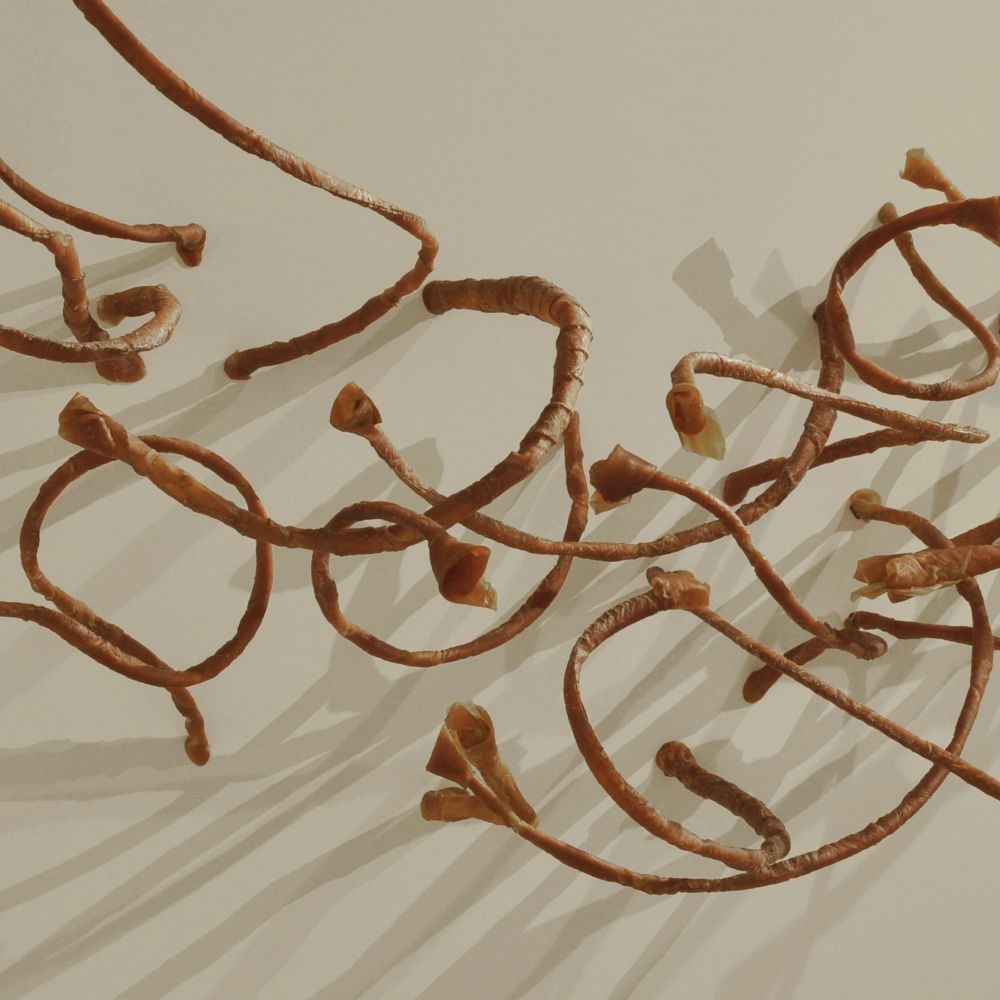 Heliotropes, 2005-2011 (Detail)