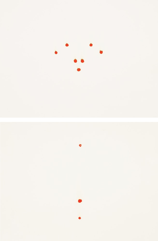 Orifice, 2008