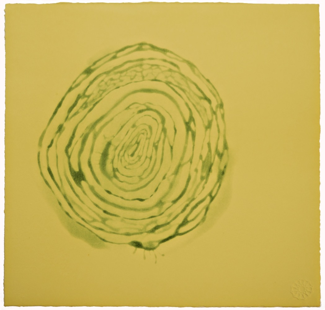 Untitled,&amp;nbsp;2015
Spit-bite etching
10 1/2&amp;quot; x 11&amp;quot;
Edition of 7