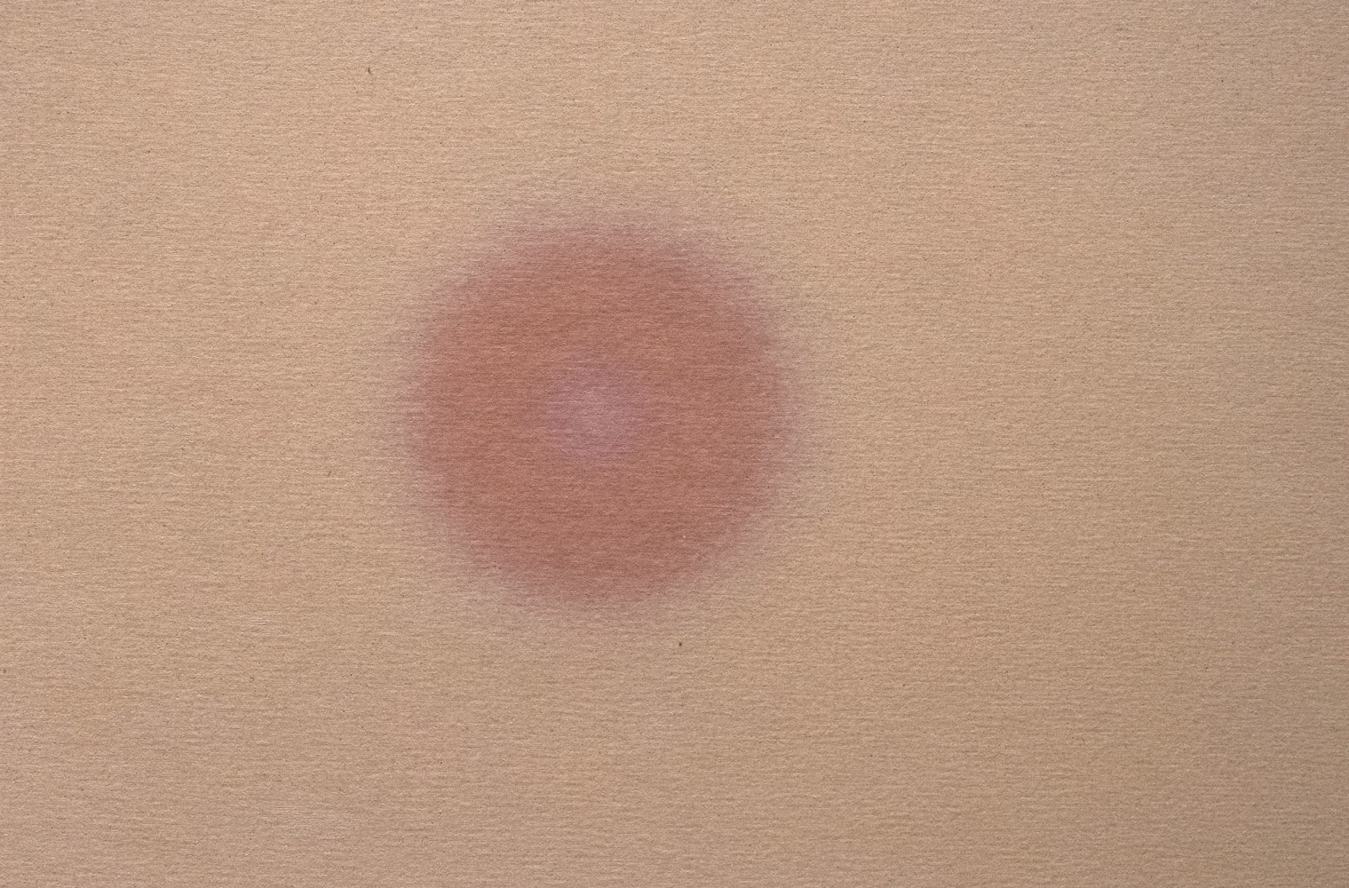 ALWAR BALASUBRAMANIAM
L.S. II&amp;nbsp;(Detail)