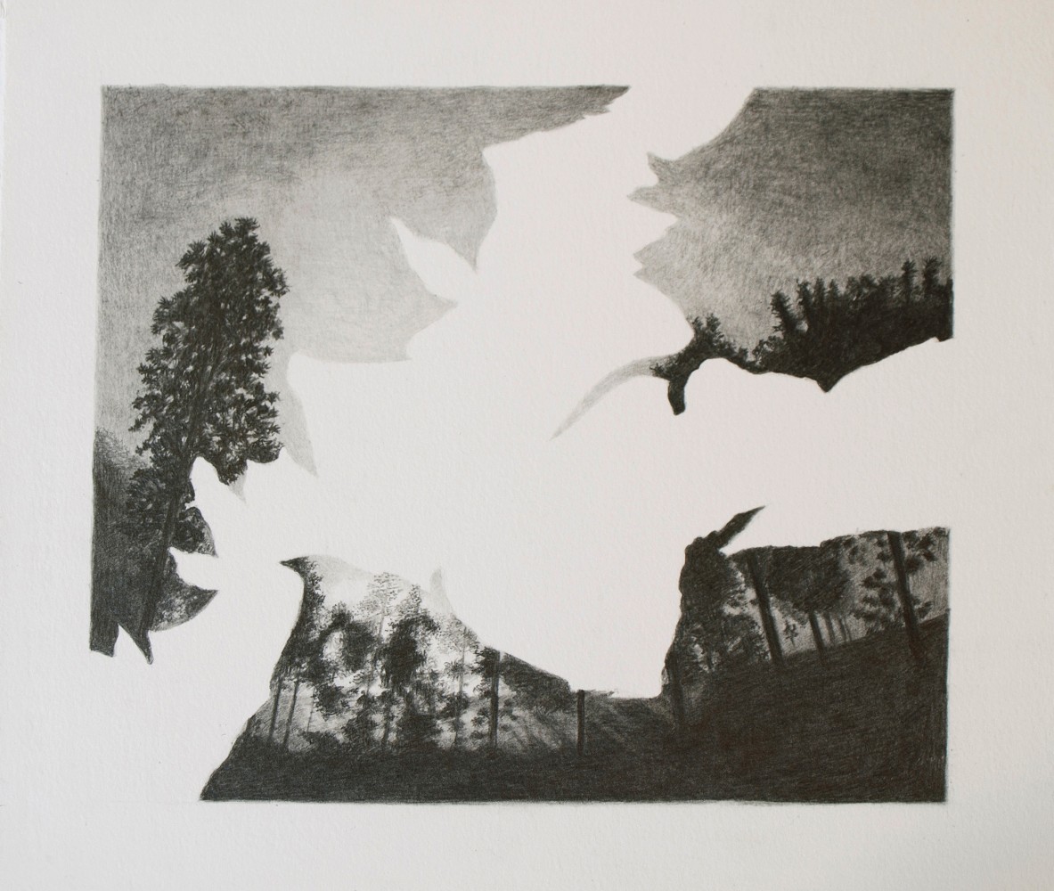 Leopard,&amp;nbsp;2013 (Detail)