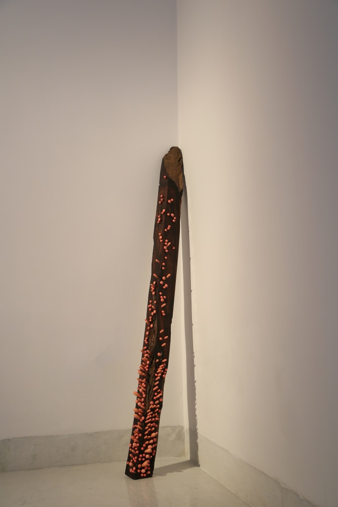 Remanence from last night’s dream, 2011
Rosewood  & Lacquered wood
4” x 4” x 43”