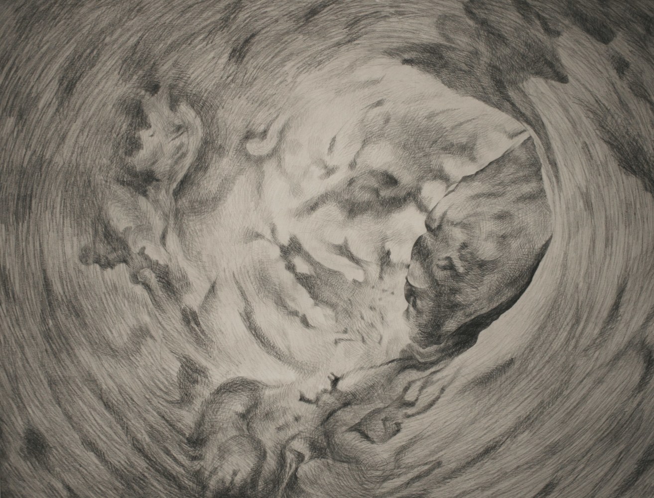 Tree Inside, 2006-2007