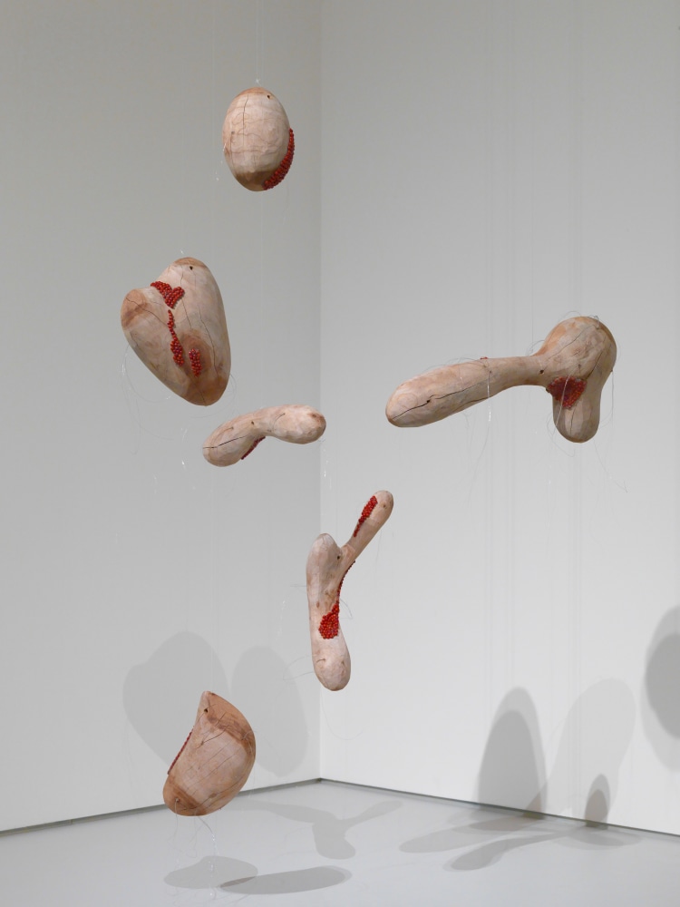 Transitions, 2003
Neem wood, silicone, fish line, gulagangi seeds
39" x 60" x 36"
