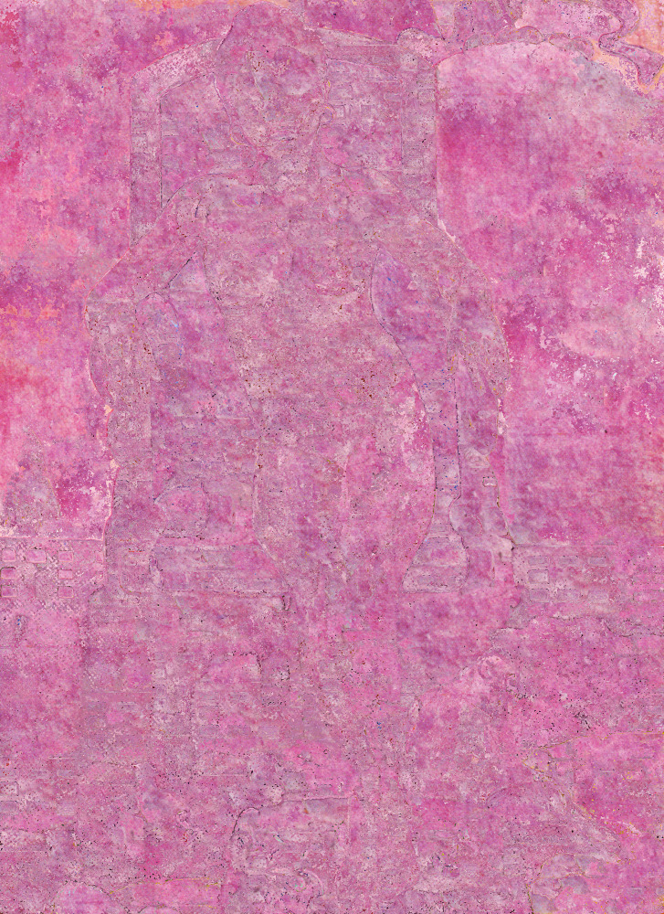 Chinaberry (jdth), 2010
Digital C-Print
55" x 40"