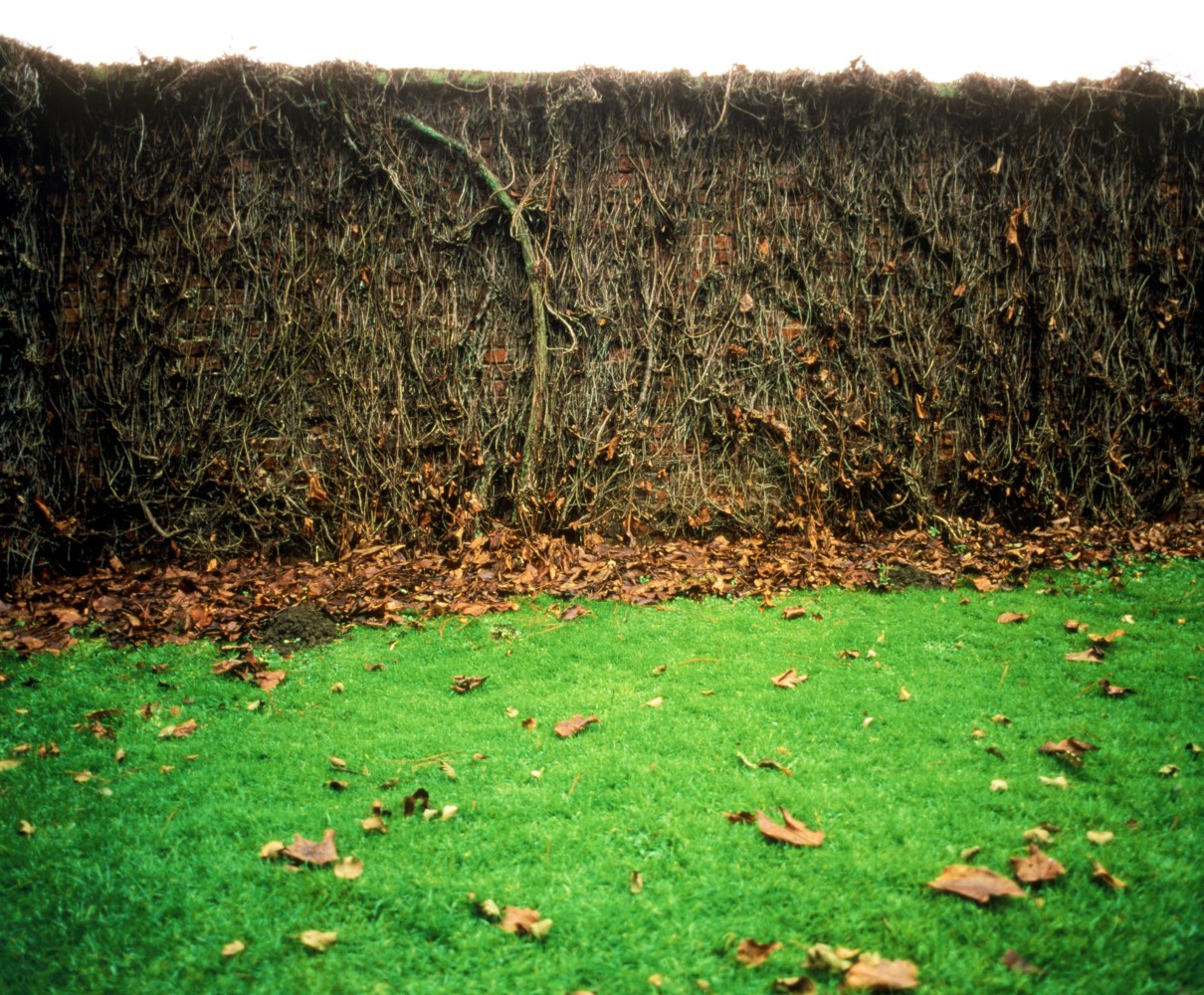 Wallings, 1998
Lightbox 
33" x 40"