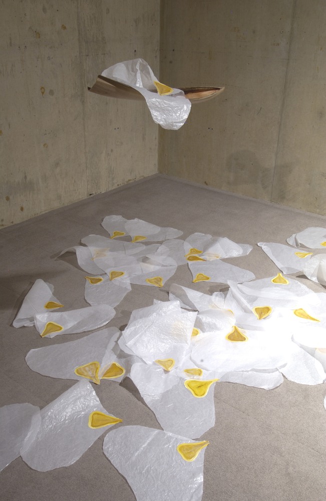 Container and Content 1 (Detail)