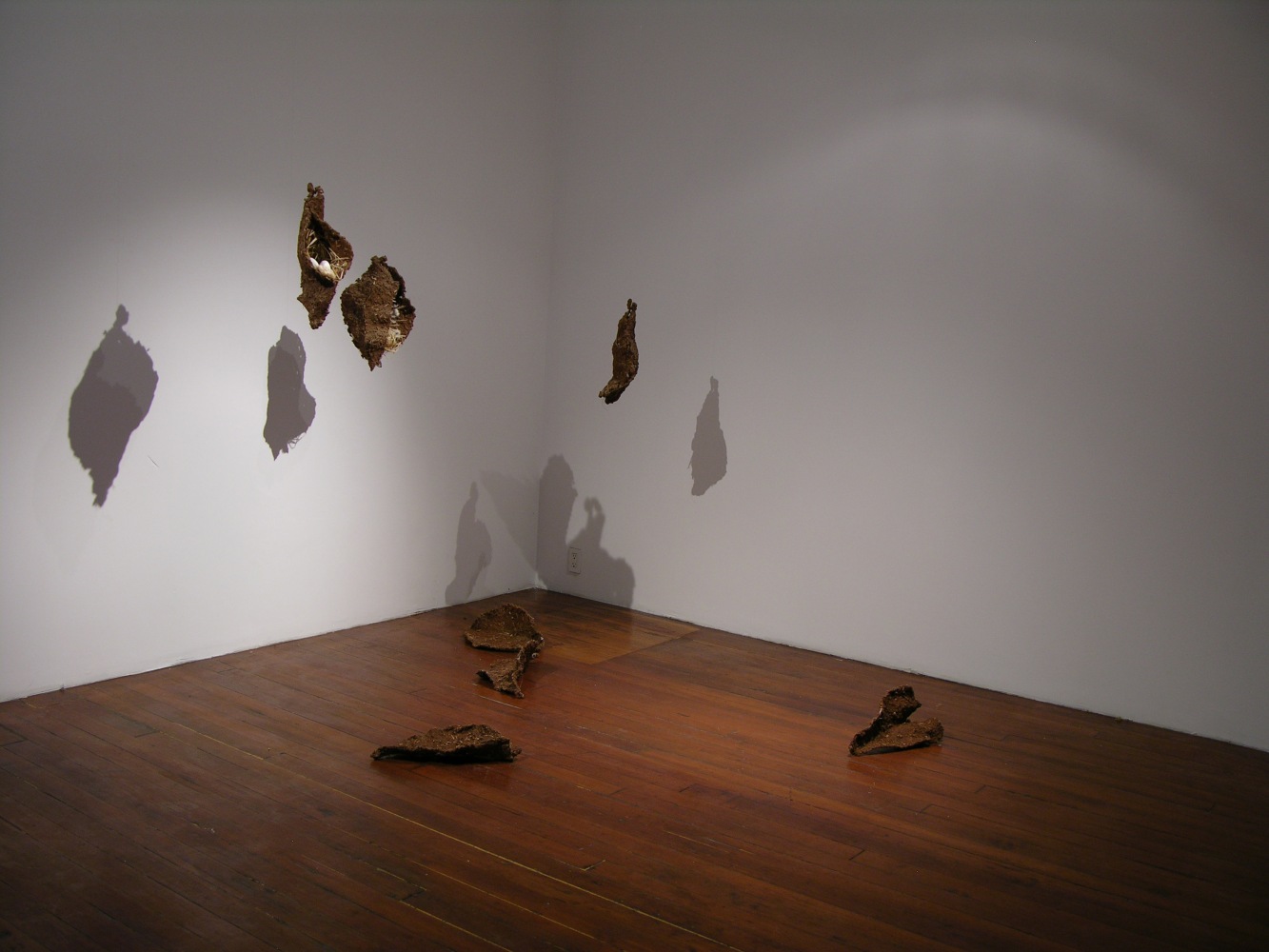 Container and Content, 2000/2005
Sawdust, steel mesh, lime, straw, cotton