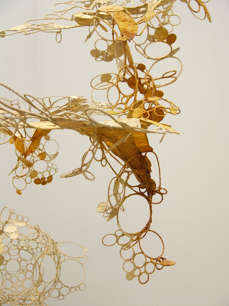 Sun-sneezers blow light bubbles (Detail)