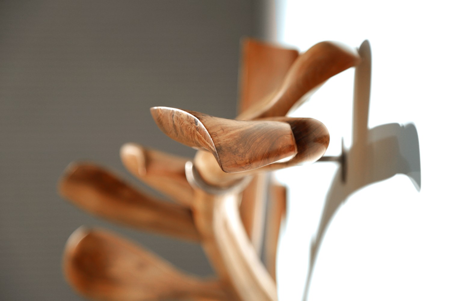 While we still have some time (Detail)