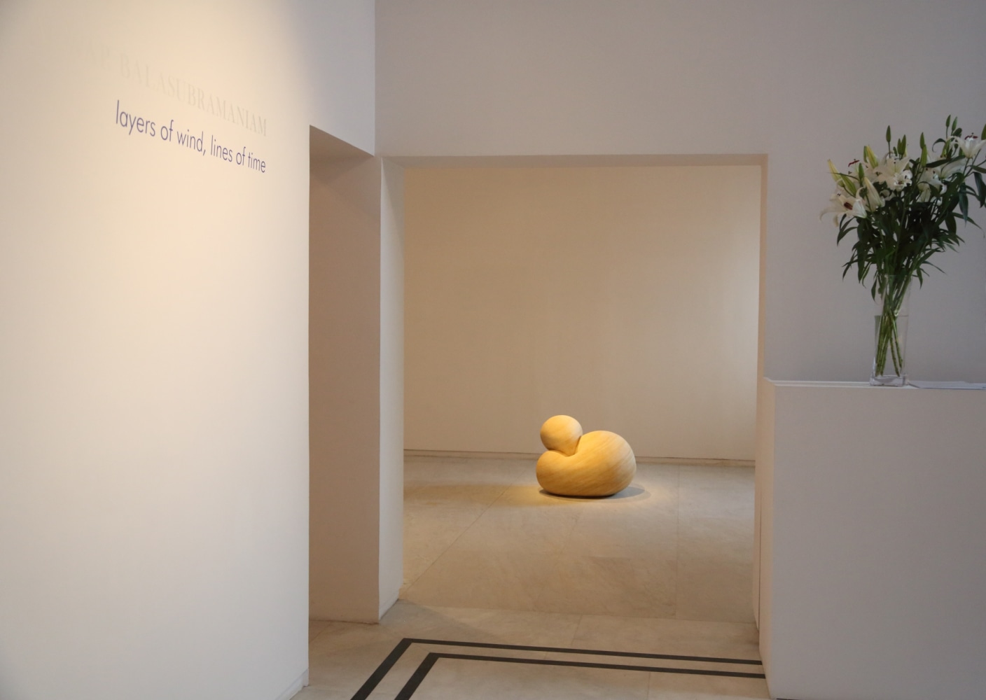 ALWAR BALASUBRAMANIAM