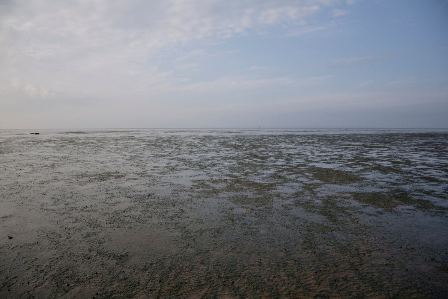 NNW51.5400, 2018

Pigment print on Hahnemuhle paper

16 3/4&amp;rdquo; x 23 1/2&amp;rdquo;