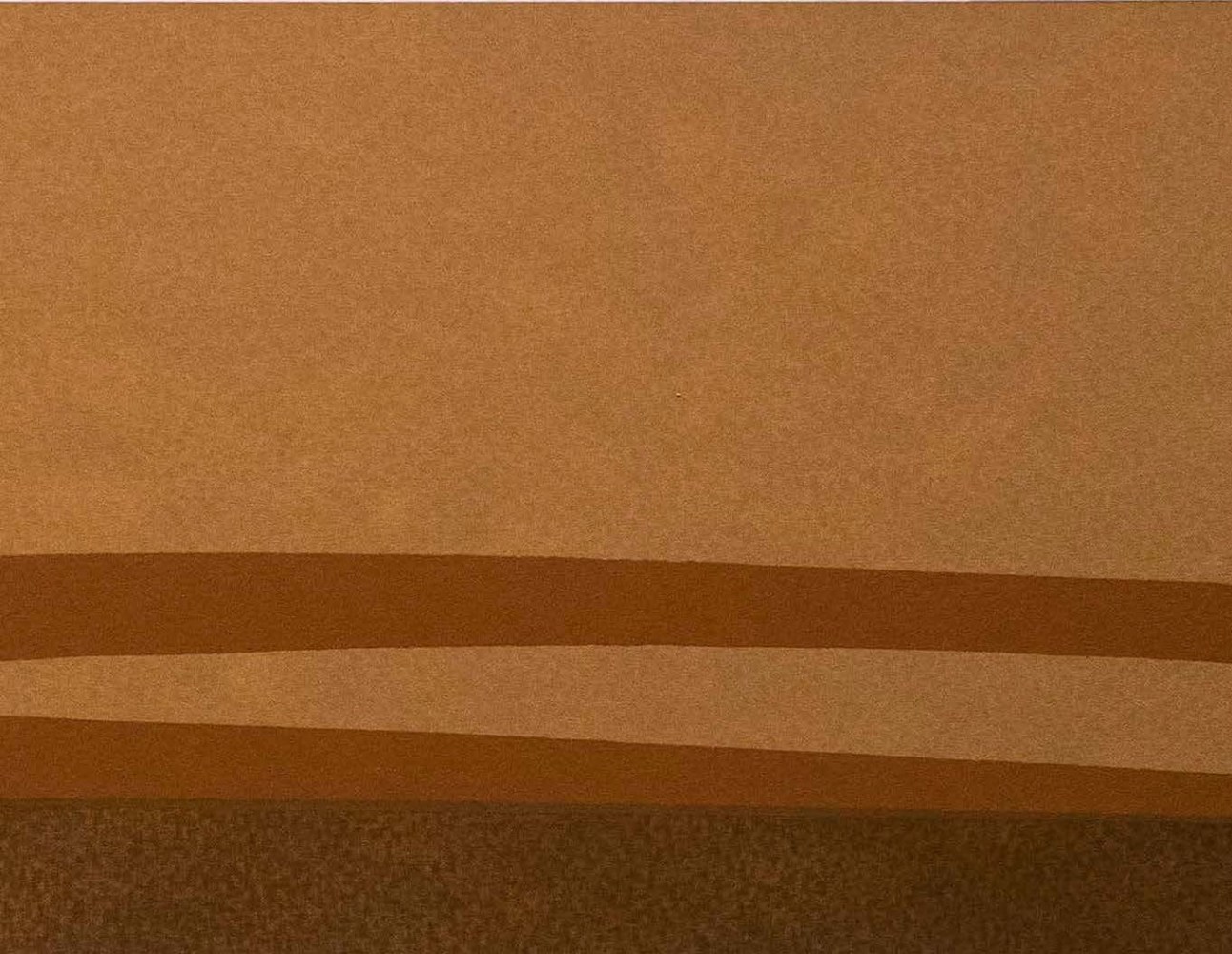 ALWAR BALASUBRAMANIAM
L.S. IX (Detail)