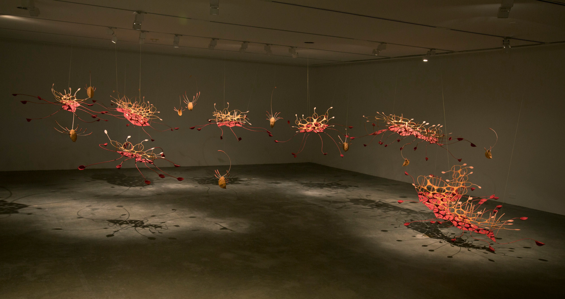 Seven ponds and a few raindrops, 2017