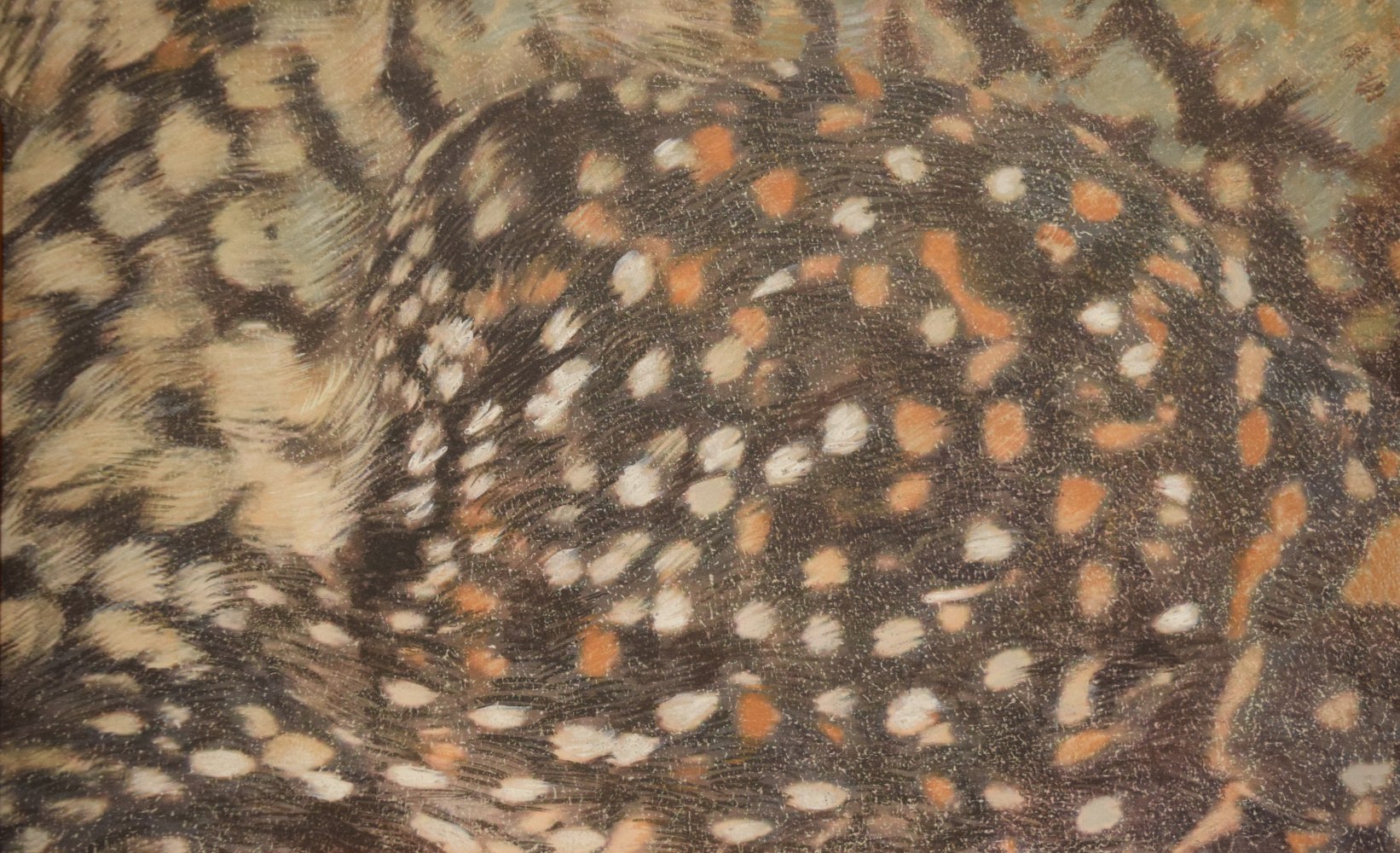 Untitled (detail)