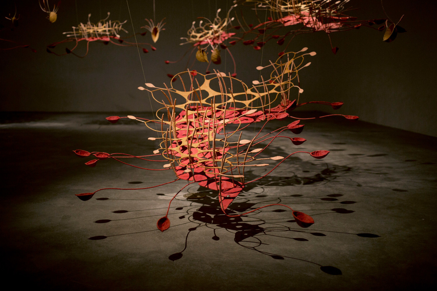 Seven ponds and a few raindrops, 2017

Stainless steel, dyed muslin, tamarind seed powder paste