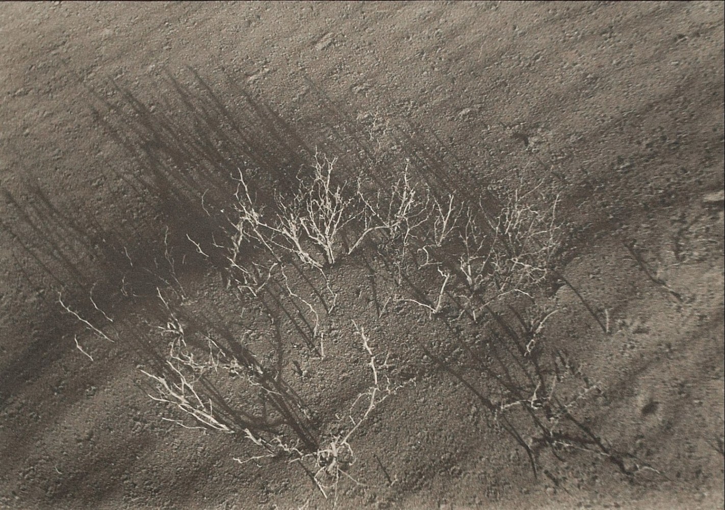 Untitled, ca. 1968
Vintage silver gelatin photograph 
8 3/4” x 12”