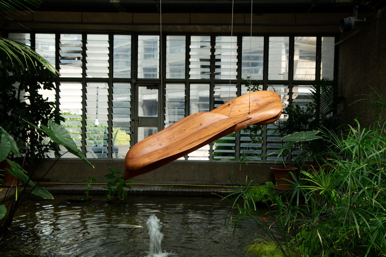 Above the crest&amp;nbsp;
&amp;nbsp;