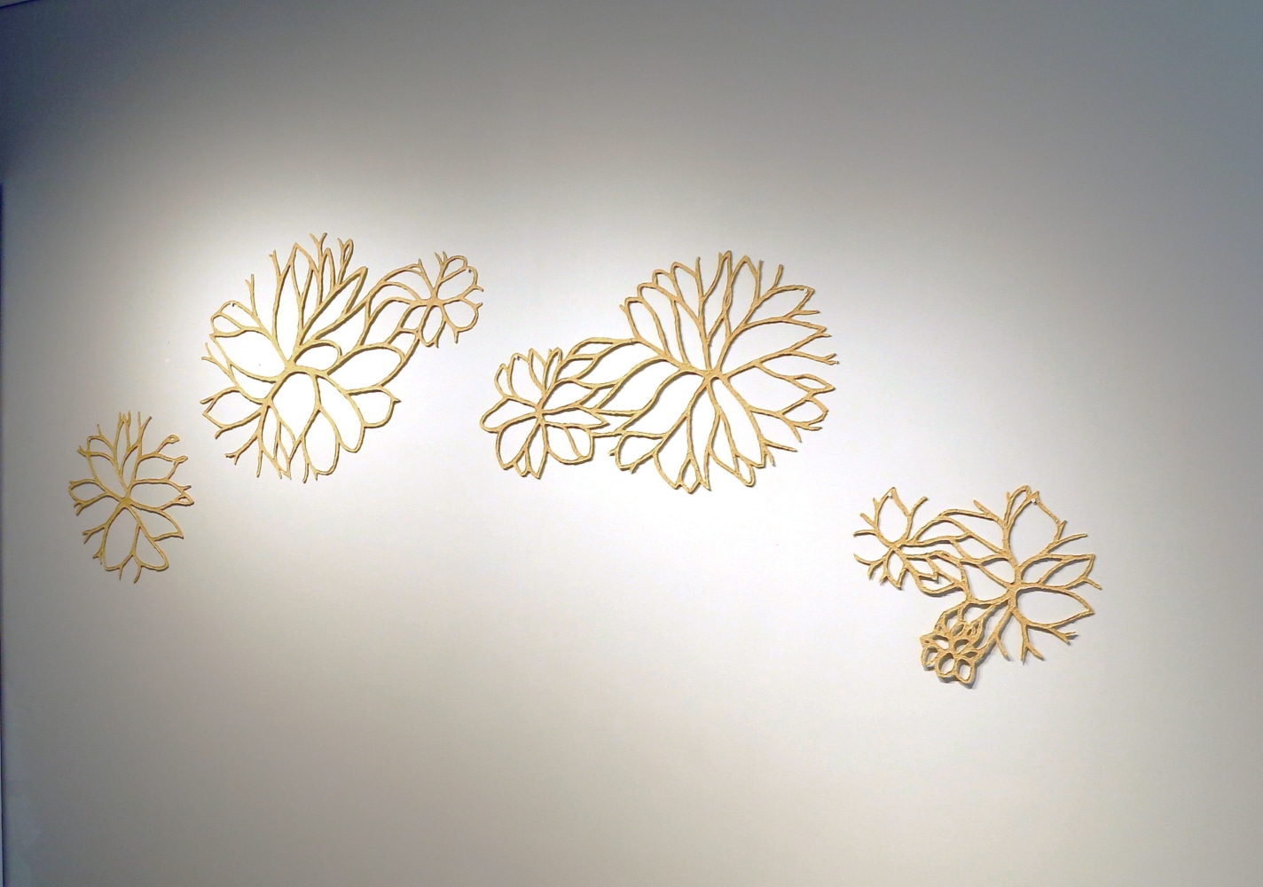 Stonewalls bloom |&amp;nbsp;2013-14
&amp;nbsp;