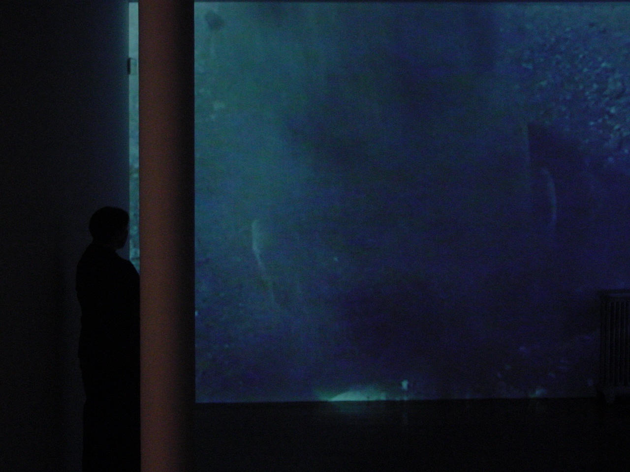 Exhibition View