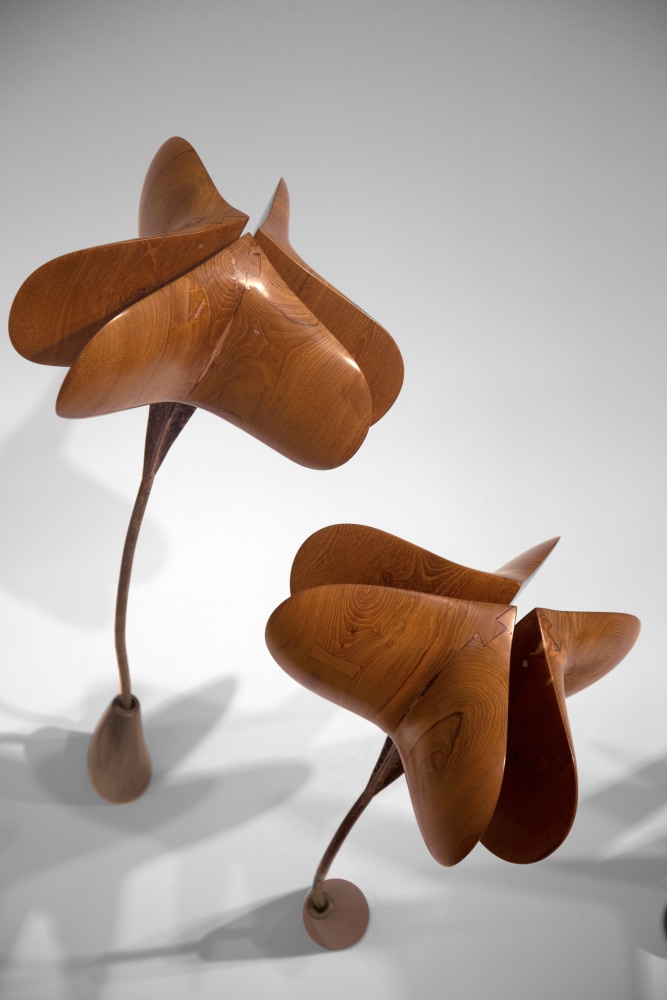 Midmorning blooms (Detail)