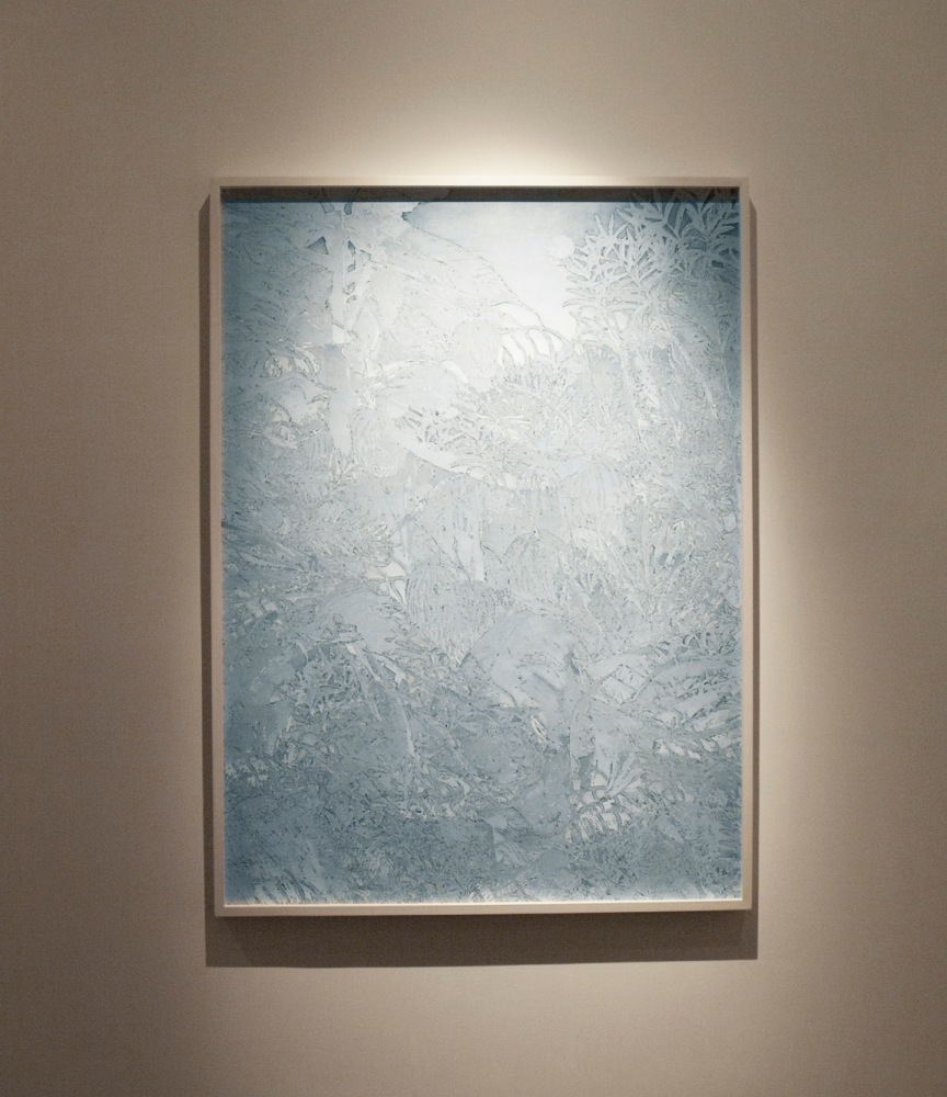 Polar Sky (fghtbtwntgrnbffl), 2010
C – Print
55″ x 40″