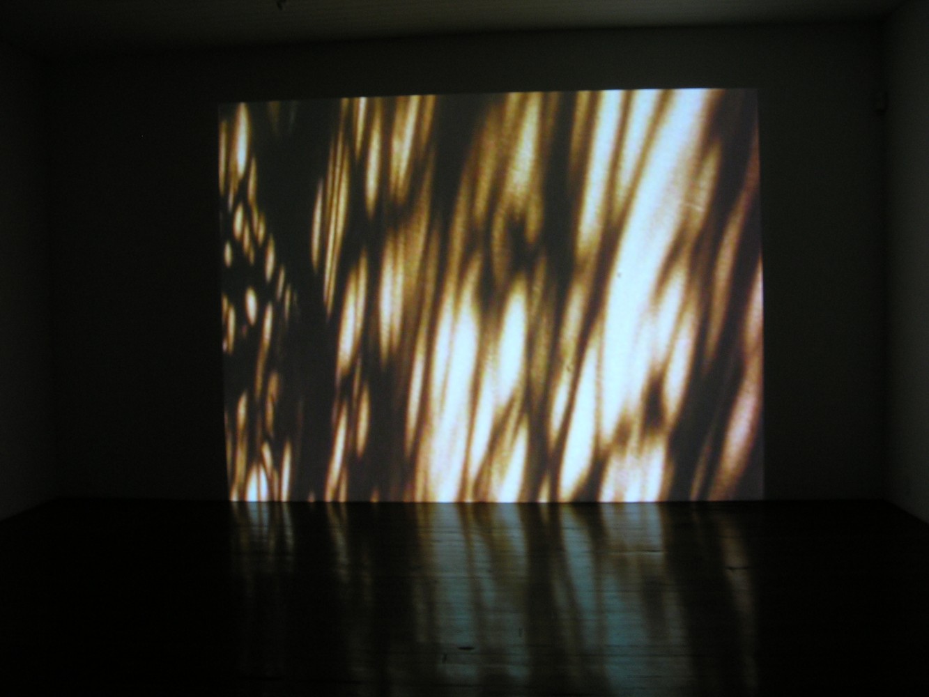 Eating Grass, 2003
Film
24 minutes
(filmed in Karachi, Lahore, and London)