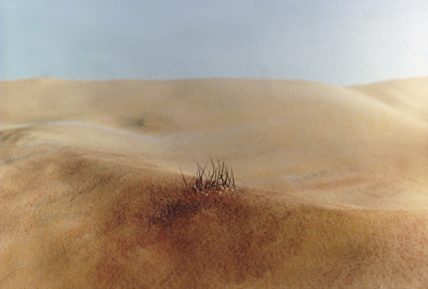 Allan deSouza
Terrains #5