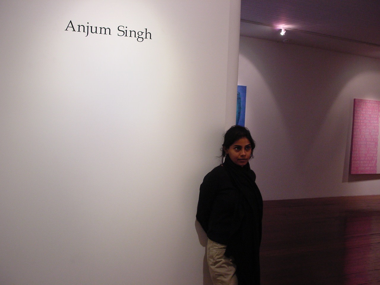 Exhibition View with Artist
