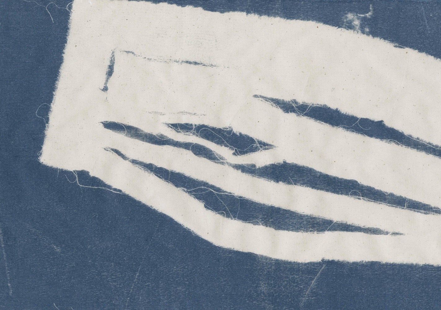 Ranjani Shettar
Song Book IV, 2015 (Detail)